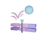Motion Graphics